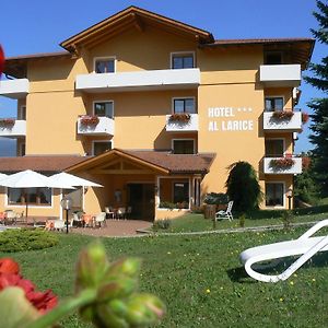 Hotel&Appartamenti Al Larice